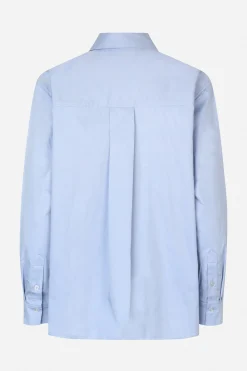 Baum und Pferdgarten Maxene top from | Brunnera Blue Hot